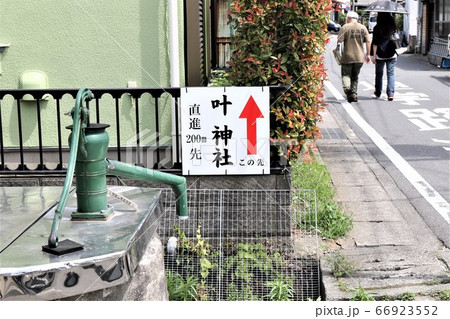 東浦賀の街並み 東浦賀の街並み 66923552