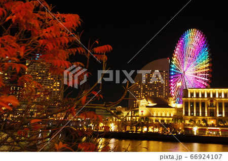 横浜の夜景 横浜の夜景 66924107
