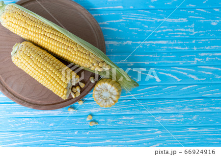 Corn cob with green leaves lies on Round cutting 66924916