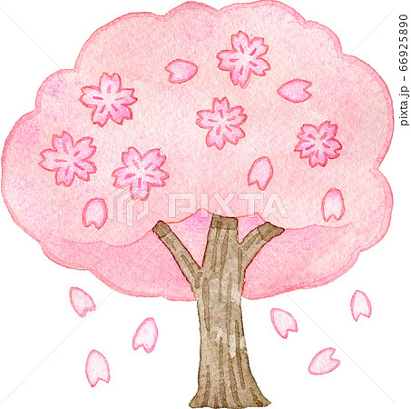 可愛い満開の桜の木の水彩イラスト 66925890