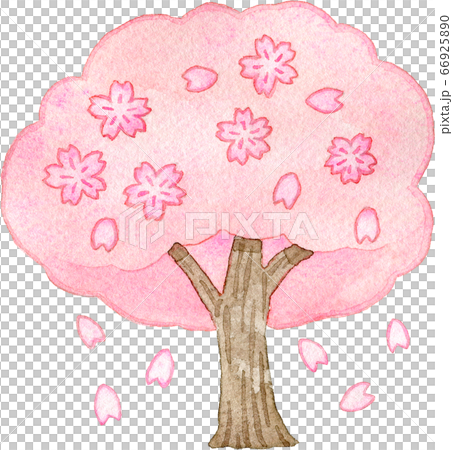 可愛い満開の桜の木の水彩イラスト 66925890