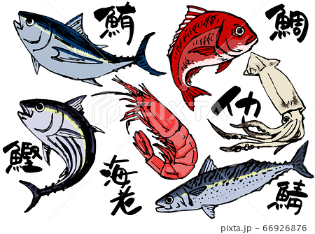 イラスト素材 魚 魚介 手描きのイラスト素材