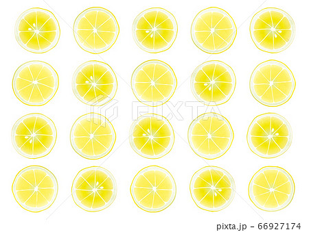 輪切りレモンの総柄 パターン 背景 イラスト 水彩 のイラスト素材