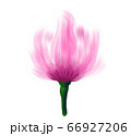 Watercolor pattern. Pink flower petal. watercolor drawing. 66927206