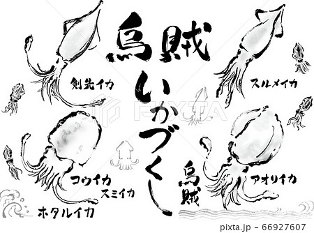 モノクロの手描きのイカのイラストと手書き文字のセットのイラスト素材