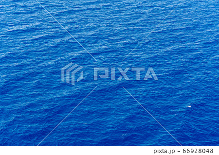 Crocodile And Crocodile In The Deep Blue Sea Stock Photo, Picture And  Royalty Free Image. Image 204525365.