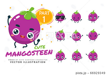 Vector set of cartoon images of Mangosteen. Part 1 66929349