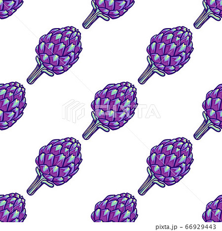 Artichoke violet flower head seamless pattern. Artichoke violet flower head seamless pattern. 66929443