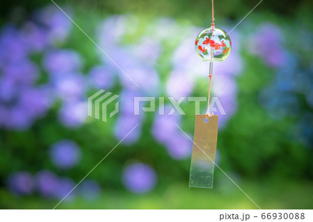 風鈴と紫陽花の写真素材