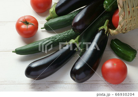 夏野菜の収穫 66930204