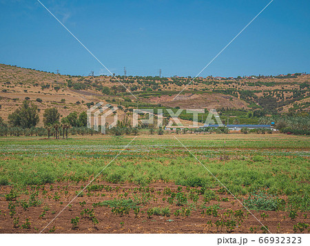 Landscape of country area of northern Israel of 66932323