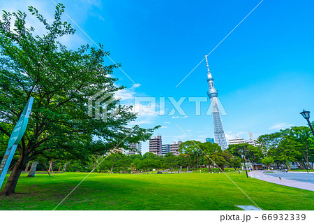 日本の東京都市景観 隅田公園から東京スカイツリーなどを望む 日本の東京都市景観 隅田公園から東京スカイツリーなどを望む 66932339