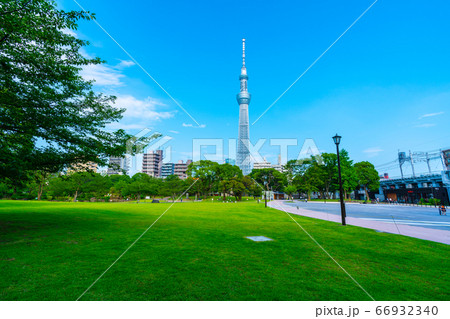 日本の東京都市景観 隅田公園から東京スカイツリーなどを望む 66932340