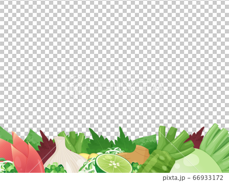 調味蔬菜的框架插圖 調味蔬菜的框架插圖 66933172