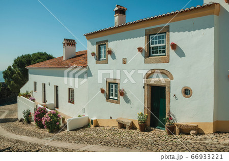 Old whitewashed houses and flowered shrubs in Marvao Old whitewashed houses and flowered shrubs in Marvao 66933221