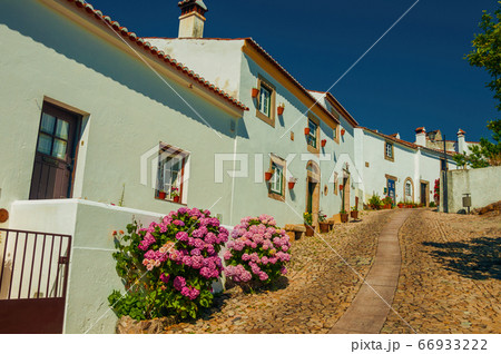 Old whitewashed houses and flowered shrubs in Marvao Old whitewashed houses and flowered shrubs in Marvao 66933222