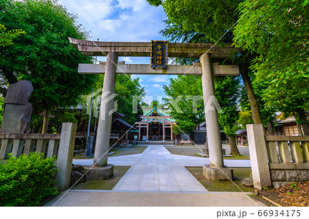 日本の東京都市景観　牛嶋神社とかわいらしいスズメ（画面左）などを望む 66934175
