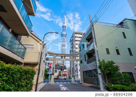 日本の東京都市景観 牛嶋神社の鳥居と東京スカイツリーなどを望む 日本の東京都市景観 牛嶋神社の鳥居と東京スカイツリーなどを望む 66934206