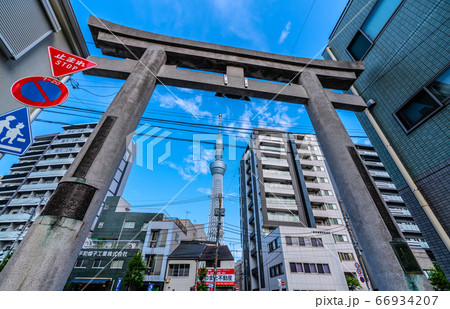 日本の東京都市景観 牛嶋神社の鳥居と東京スカイツリーなどを望む 日本の東京都市景観 牛嶋神社の鳥居と東京スカイツリーなどを望む 66934207