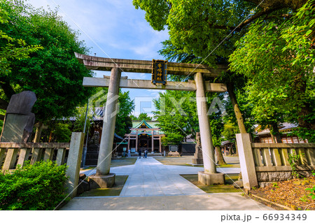 日本の東京都市景観 牛嶋神社などを望む 日本の東京都市景観 牛嶋神社などを望む 66934349