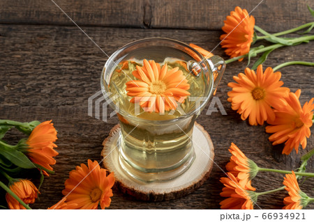 A cup of calendula tea with fresh calendula 66934921
