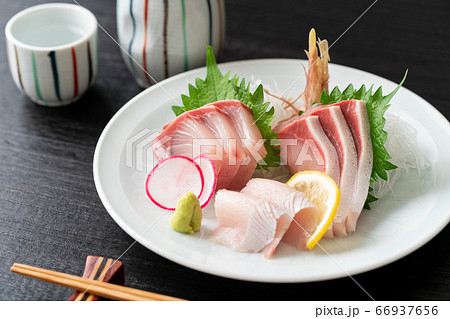 鰤の刺身 66937656