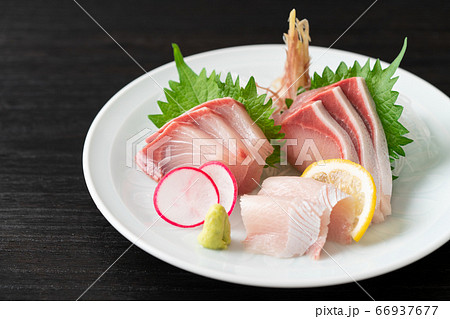 鰤の刺身 66937677