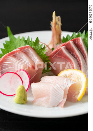 鰤の刺身 鰤の刺身 66937679