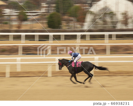 果川市 競馬公園 韓国 66938231