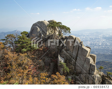 韓国 ソウル市 道峰区 66938472