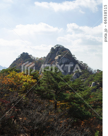 韓国 ソウル市 道峰区 66938515