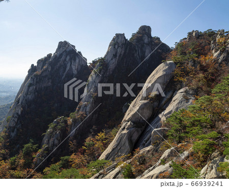 ジャウンボン 韓国 ソウル市 66939241