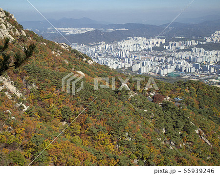 韓国 ソウル市 道峰区 66939246