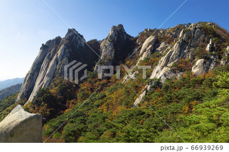 韓国 ソウル市 道峰区 66939269