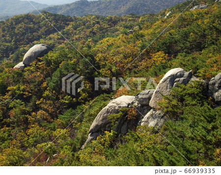 韓国 道峰区 ジャウンボン 66939335