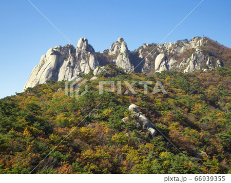 韓国 ソウル市 道峰区 66939355