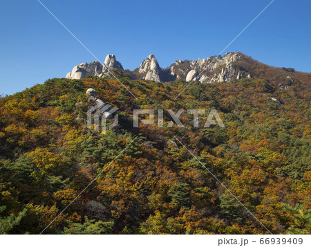 韓国 ソウル市 道峰区 66939409