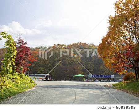 韓国 忠清北道 槐山郡 66939588