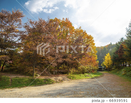 韓国 槐山郡 俗離山 66939591