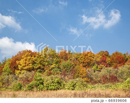 韓国 槐山郡 俗離山 66939606