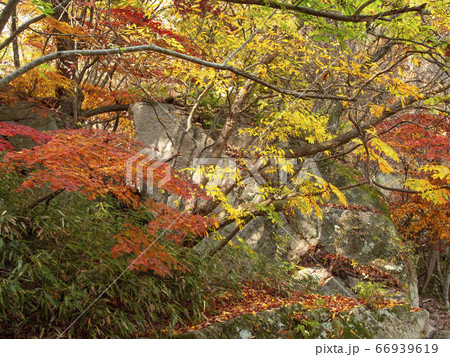 韓国 忠清北道 槐山郡 66939619