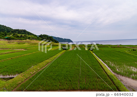 （京都府）伊根町、新井の棚田 66940032