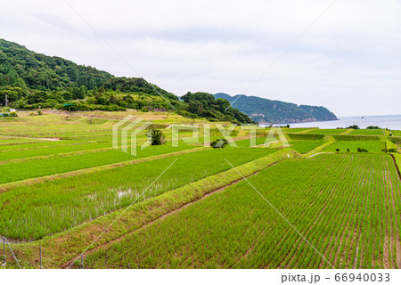 （京都府）伊根町、新井の棚田 66940033
