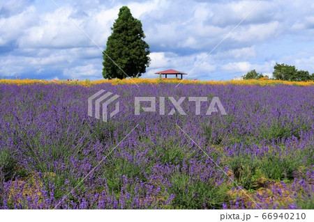 青山高原ハーブガーデン 66940210