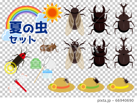 カブトムシ、クワガタ、セミ、ホタル、トンボ、コオロギ、夏の虫セット 66940690