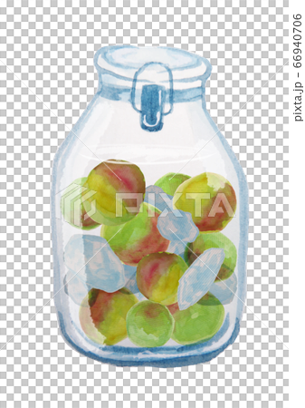 梅酒 梅酒 66940706