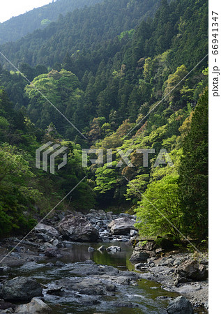 初夏の和歌山県・丹生川 初夏の和歌山県・丹生川 66941347