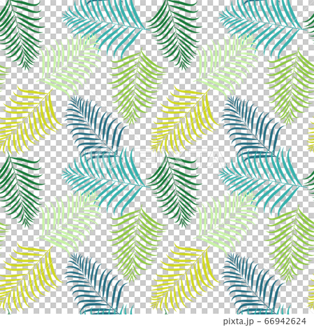 Tropical seamless pattern illustration material (areca palm) Tropical seamless pattern illustration material (areca palm) 66942624