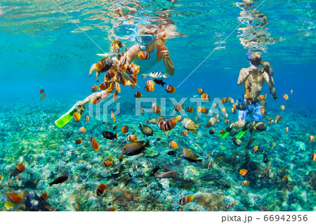 Young couple in snorkeling mask dive underwater in 66942956