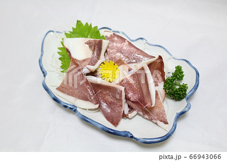 剣先イカの刺身 66943066